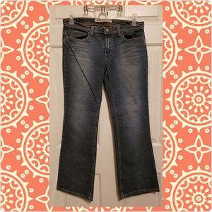 Express Bootcut Jeans